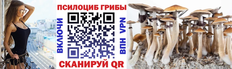 Галлюциногенные грибы мухоморы  hydra tor  Новокузнецк 