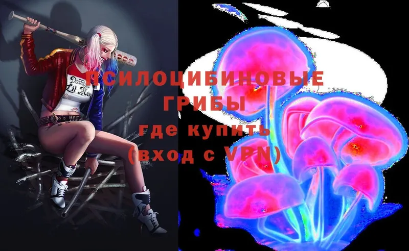 omg ТОР  Новокузнецк  Псилоцибиновые грибы Magic Shrooms 