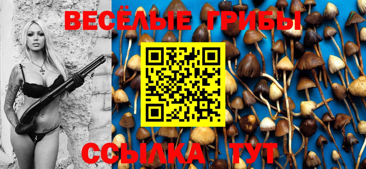 Псилоцибиновые грибы MAGIC MUSHROOMS  Вход с VPN  Новокузнецк 