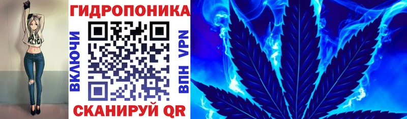 Канабис гибрид  закладки  Новокузнецк 